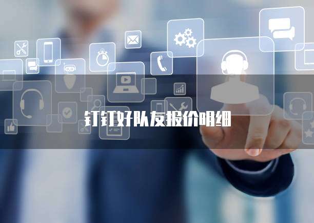 钉钉好队友报价明细