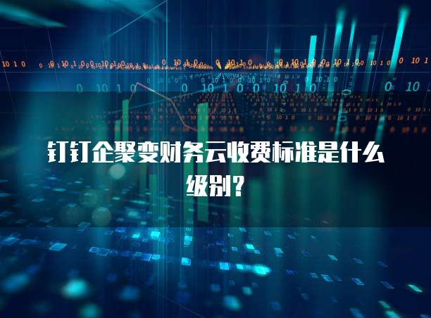 钉钉企聚变财务云收费标准是什么级别?
