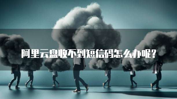 阿里云盘收不到短信码怎么办呢?