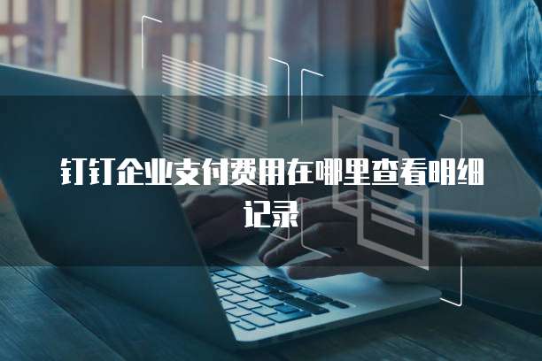 钉钉企业支付费用在哪里查看明细记录