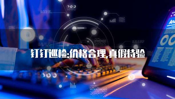 钉钉巡检:价格合理,真假待验