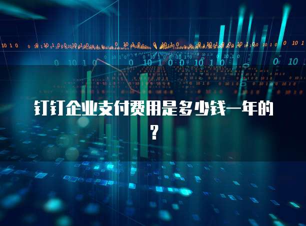 钉钉企业支付费用是多少钱一年的？