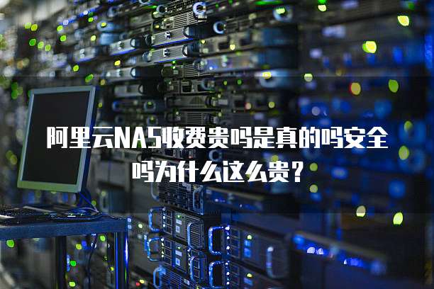阿里云NAS收费贵吗是真的吗安全吗为什么这么贵?