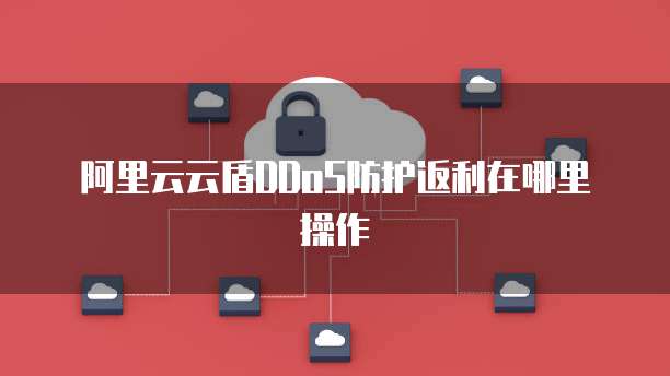 阿里云云盾DDoS防护返利在哪里操作