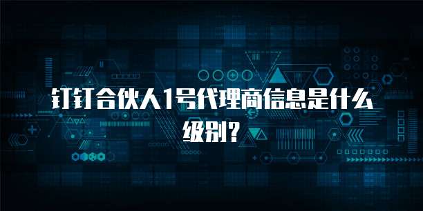 钉钉合伙人1号代理商信息是什么级别?