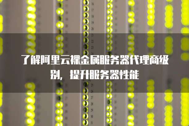 了解阿里云裸金属服务器代理商级别,提升服务器性能