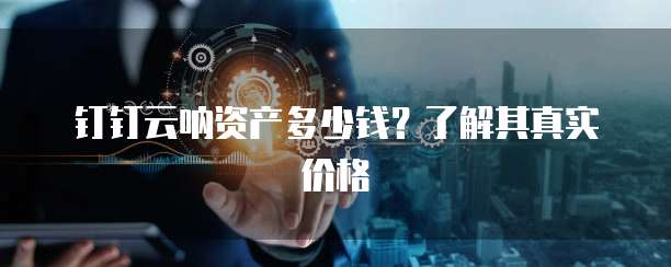 钉钉云呐资产多少钱?了解其真实价格