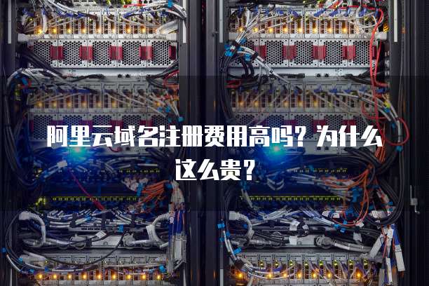 阿里云域名注册费用高吗?为什么这么贵?