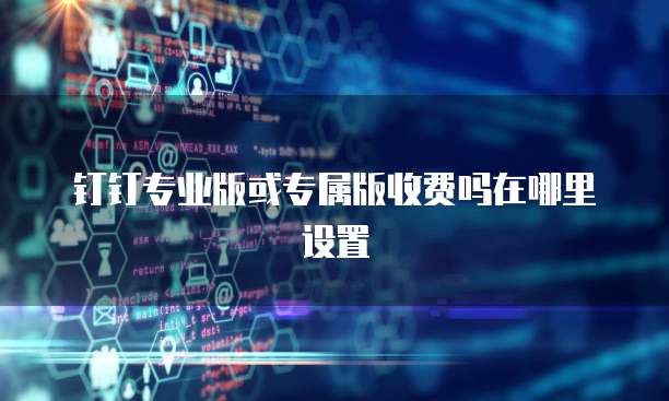 钉钉专业版或专属版收费吗在哪里设置