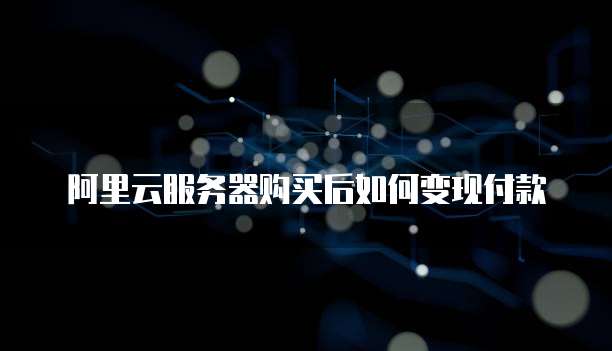 阿里云服务器购买后如何变现付款