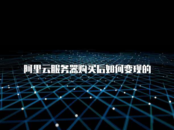 阿里云服务器购买后如何变现的