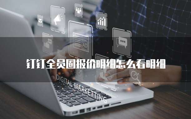 钉钉全员圈报价明细怎么看明细