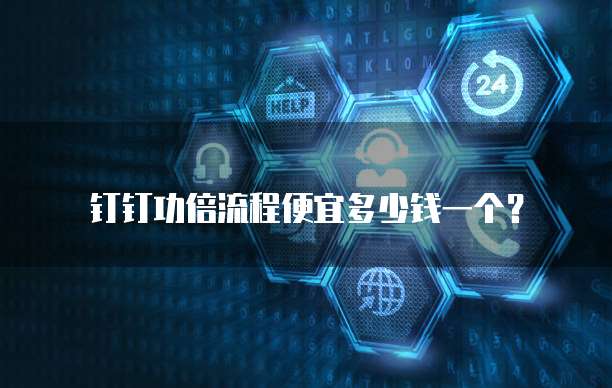 钉钉功倍流程便宜多少钱一个?