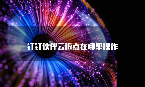 钉钉伙伴云返点在哪里操作