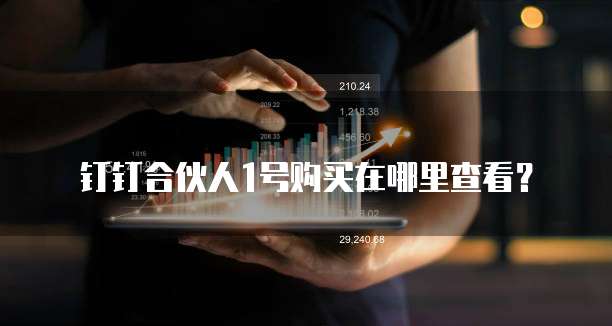 钉钉合伙人1号购买在哪里查看?