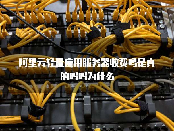 阿里云轻量应用服务器收费吗是真的吗吗为什么