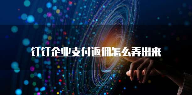 钉钉企业支付返佣怎么弄出来