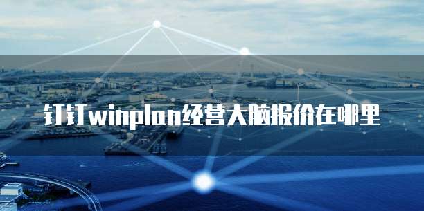 钉钉winplan经营大脑报价在哪里