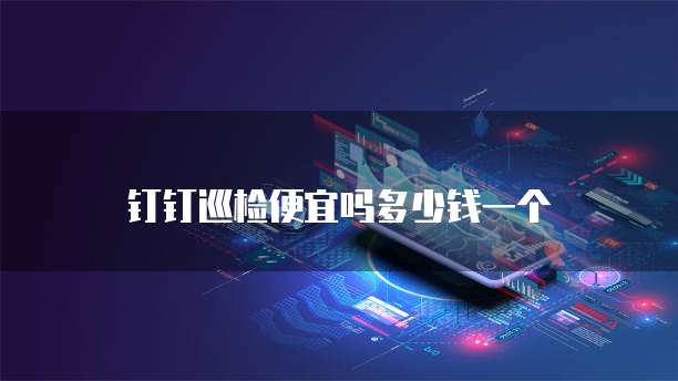 钉钉巡检便宜吗多少钱一个