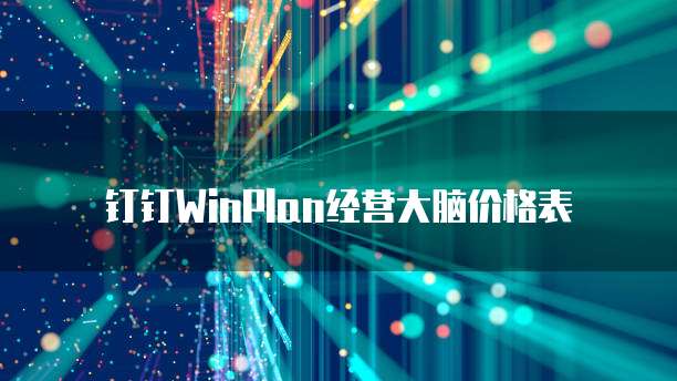 钉钉WinPlan经营大脑价格表