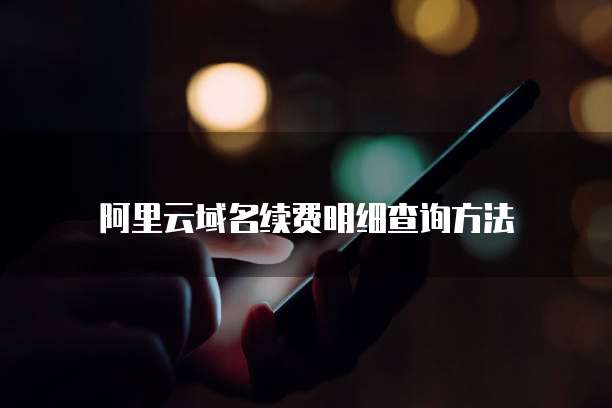阿里云域名续费明细查询方法