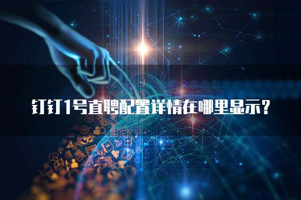 钉钉1号直聘配置详情在哪里显示？