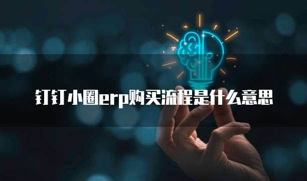 钉钉小圈erp购买流程是什么意思