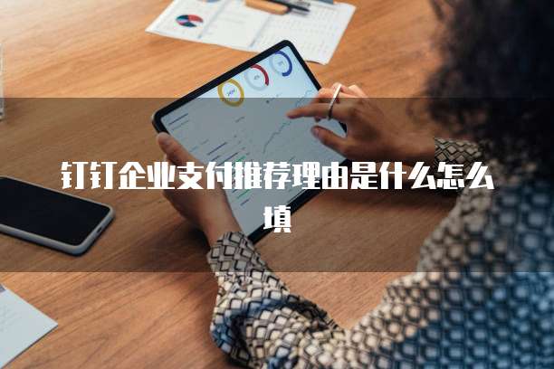 钉钉企业支付推荐理由是什么怎么填