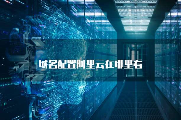 域名配置阿里云在哪里看