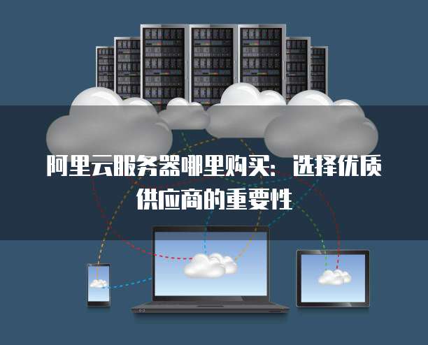 阿里云服务器哪里购买：选择优质供应商的重要性