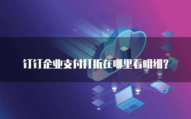 钉钉企业支付打折在哪里看明细?