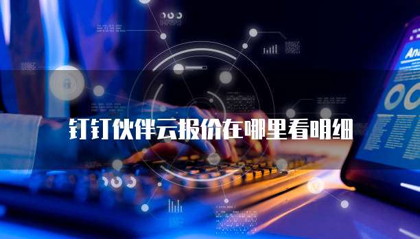 钉钉伙伴云报价在哪里看明细