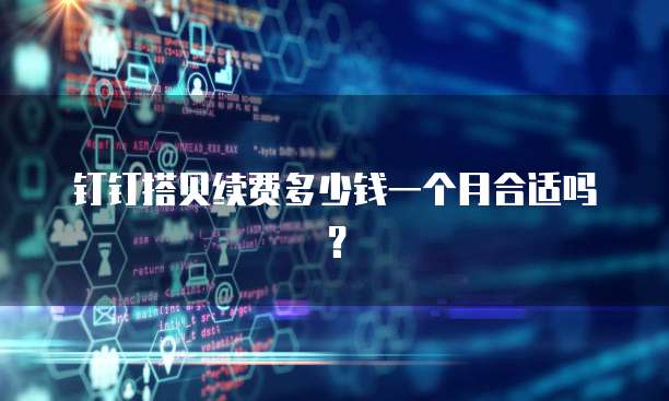 钉钉搭贝续费多少钱一个月合适吗?