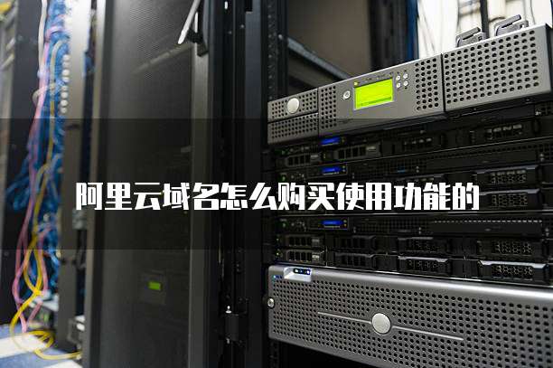 阿里云域名怎么购买使用功能的