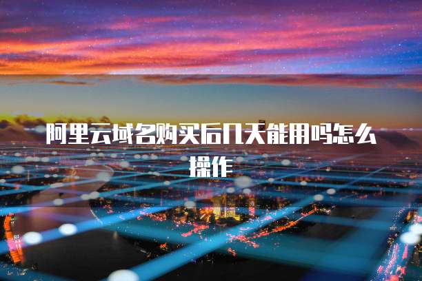阿里云域名购买后几天能用吗怎么操作