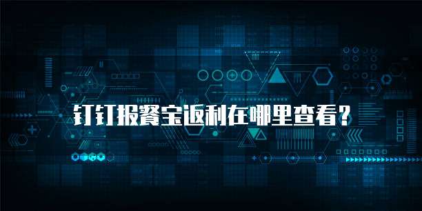 钉钉报餐宝返利在哪里查看?
