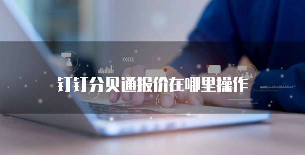 钉钉分贝通报价在哪里操作