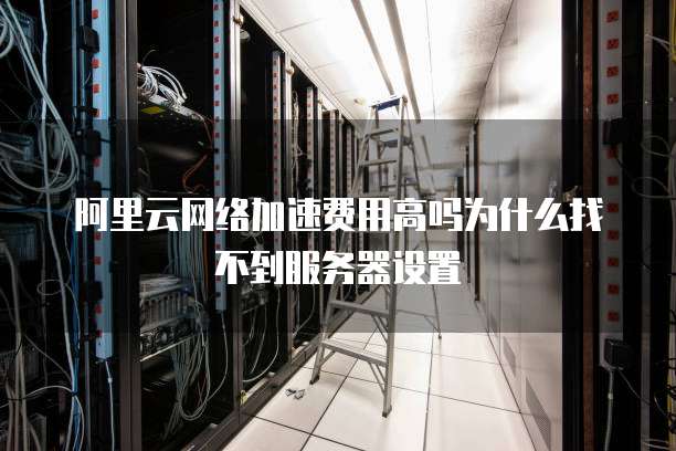 阿里云网络加速费用高吗为什么找不到服务器设置