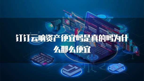 钉钉云呐资产便宜吗是真的吗为什么那么便宜