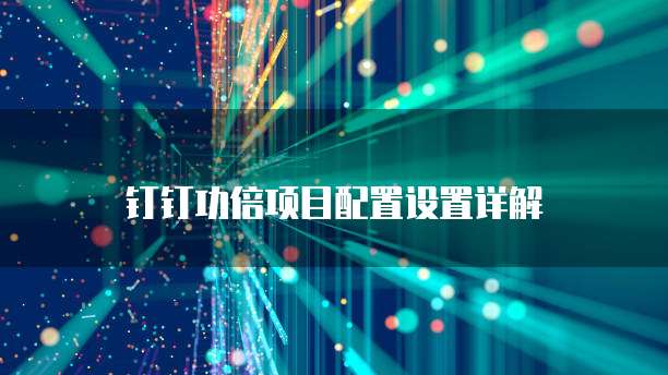 钉钉功倍项目配置设置详解