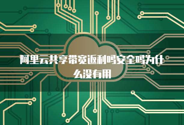 阿里云共享带宽返利吗安全吗为什么没有用