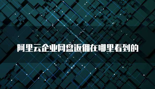阿里云企业网盘返佣在哪里看到的
