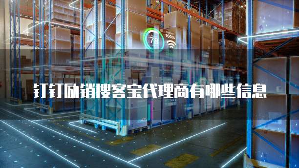 钉钉励销搜客宝代理商有哪些信息