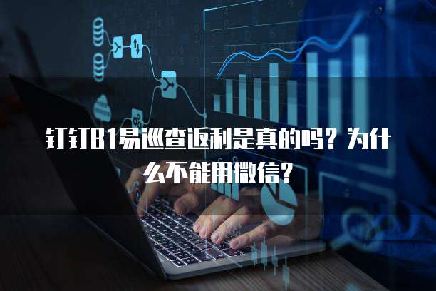 钉钉B1易巡查返利是真的吗?为什么不能用微信?