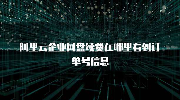 阿里云企业网盘续费在哪里看到订单号信息