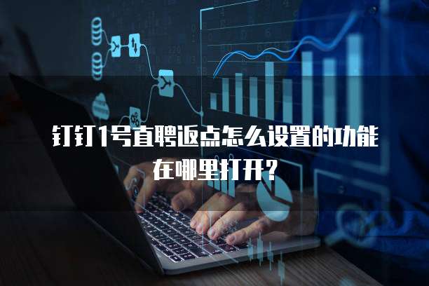 钉钉1号直聘返点怎么设置的功能在哪里打开?