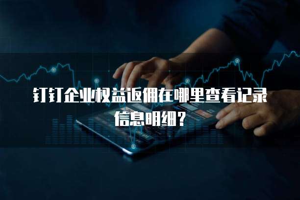 钉钉企业权益返佣在哪里查看记录信息明细?