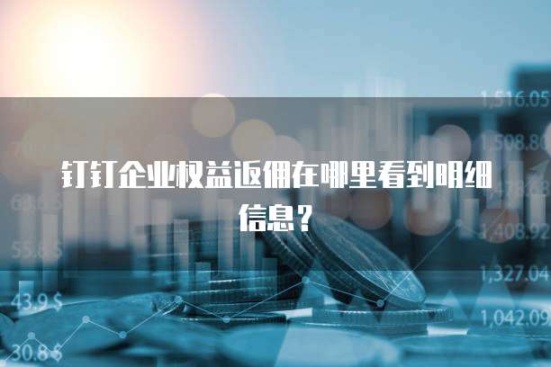 钉钉企业权益返佣在哪里看到明细信息?