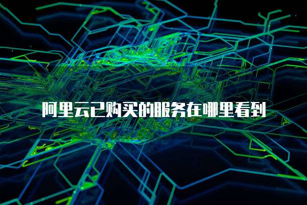 阿里云已购买的服务在哪里看到