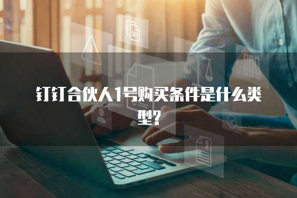 钉钉合伙人1号购买条件是什么类型?